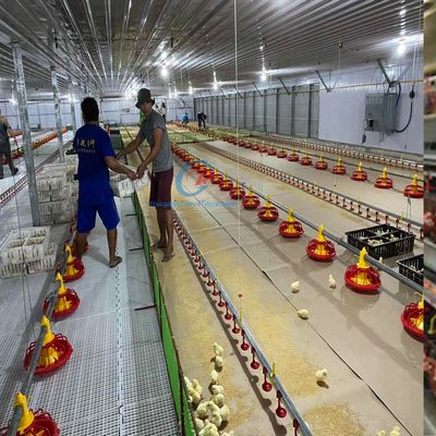 Moderno Q235 Q345 Estrutura de aço Casa de aves para a agricultura eficiente