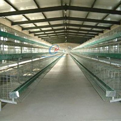 Estrutura de aço galvanizado Casa de aves personalizada com painéis isolados