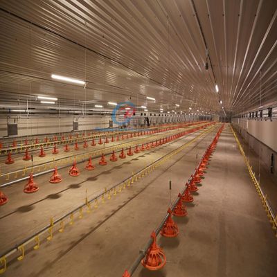 Edifícios de aço econômicos Edifícios de estrutura de aço personalizados Construção
