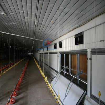 Q235 Q345 Construções de aço para gado
