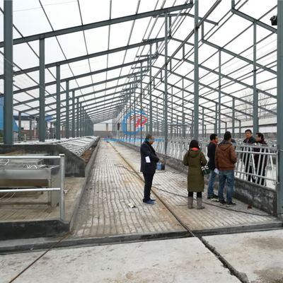 Estrutura de aço leve Gabinete de vacas Estrutura pré-fabricada de aço Edifícios agrícolas