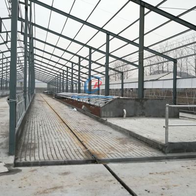 Edifícios de estrutura de aço de construção durável de estrutura de aço personalizada