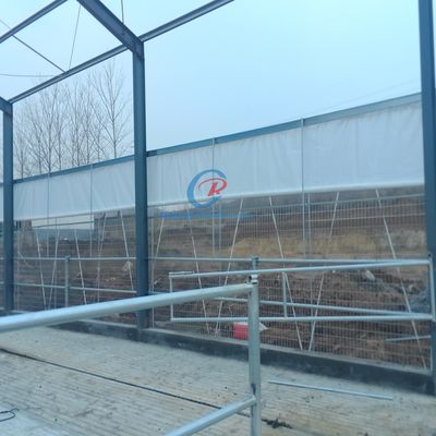 Construção de galpões de aço e metal, galpões de aço pré-fabricados para laticínios