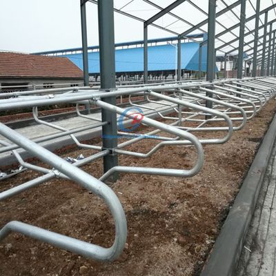 Estrutura de aço personalizada Edifício de galpão de vacas pré-fabricado Fazenda de leite de gado Galpões de estrutura de metal