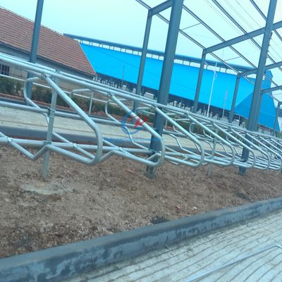 Estrutura de aço moderna Corraio de vacas Estrutura de aço sustentável Edifícios agrícolas