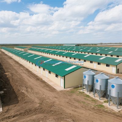 Chicken Broiler Poultry Farm Steel Structure Shed House for 15000 Chickens
